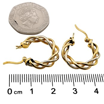 9ct Gold 2-Tone 2g Hoop Earrings